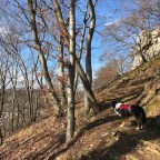 Mit Nelly durch die Ostalb