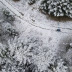 Aus trampelpfadlaufen wird freiluftmensch