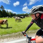 Rund um den Ammersee