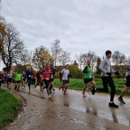 Oettinger Roßfeldlauf