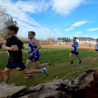 Treuchtlinger Frühjahrslauf